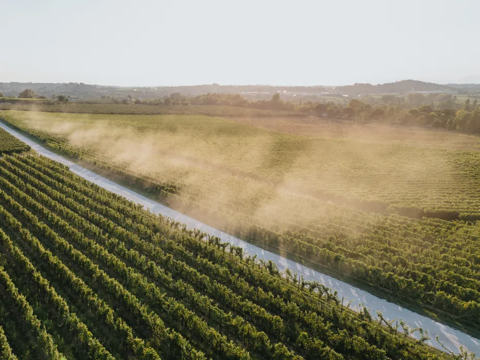 Produzione foto e video